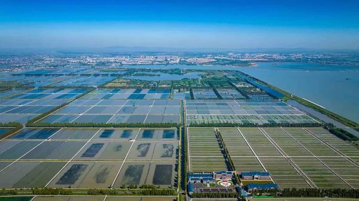 航拍高淳固城湖螃蟹核心區。高淳區融媒體中心供圖